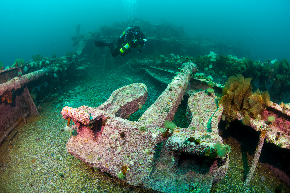 Section image